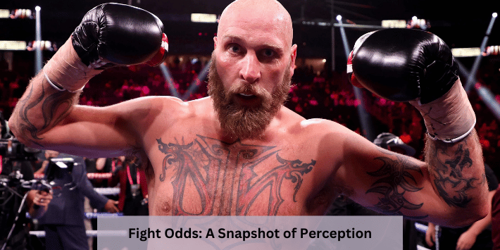 Fight Odds: A Snapshot of Perception