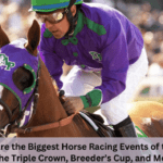 What Are the Biggest Horse Racing Events of the Year? The Triple Crown, Breeder’s Cup, and More!