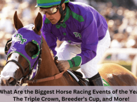 What Are the Biggest Horse Racing Events of the Year? The Triple Crown, Breeder’s Cup, and More!