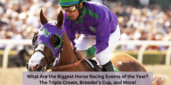 What Are the Biggest Horse Racing Events of the Year? The Triple Crown, Breeder’s Cup, and More!